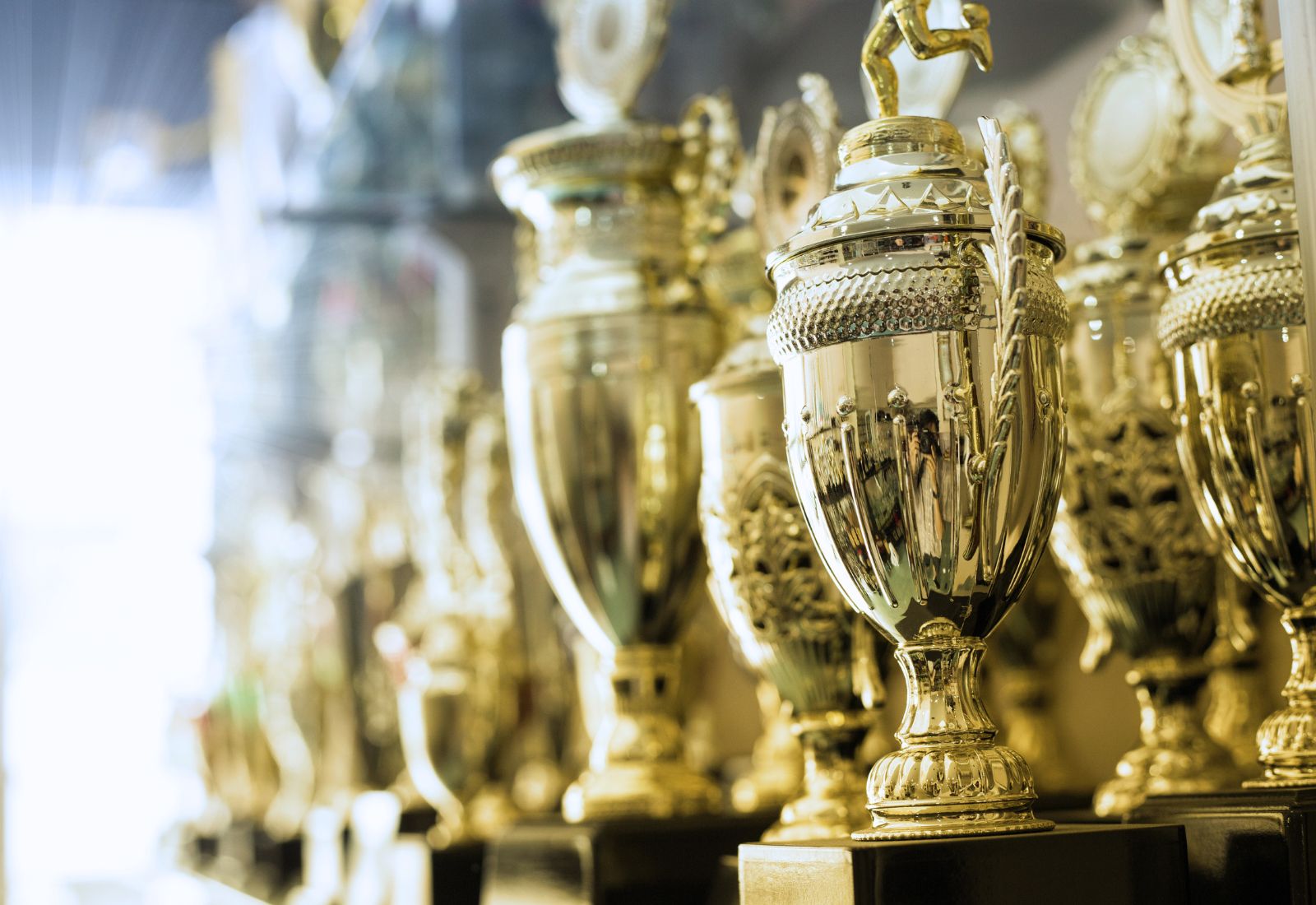 ACME Awards and Recognition